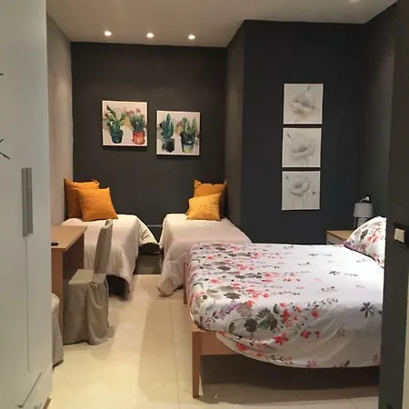 Musicol Palace Oda ve Kahvaltı *